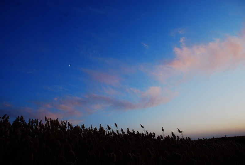 dsc_0997.jpg