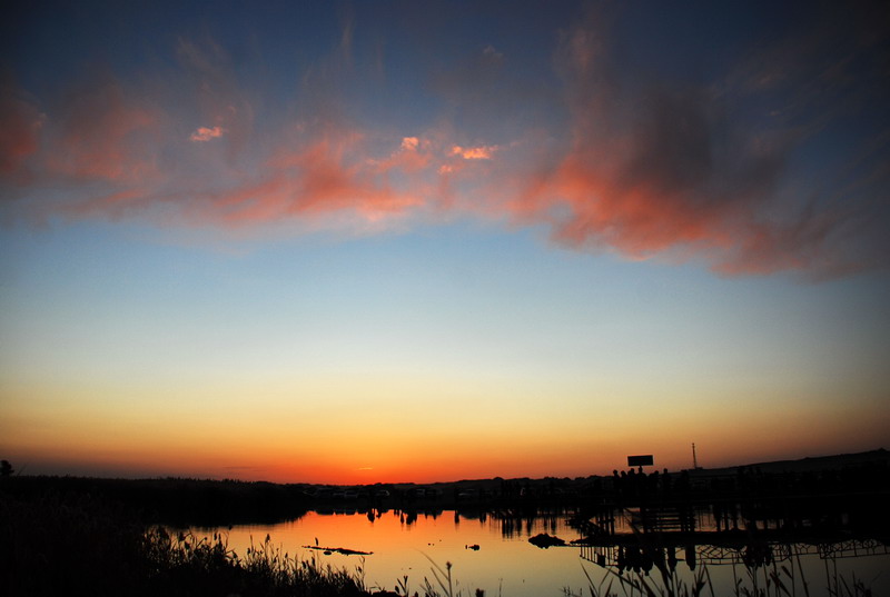 dsc_0003.jpg