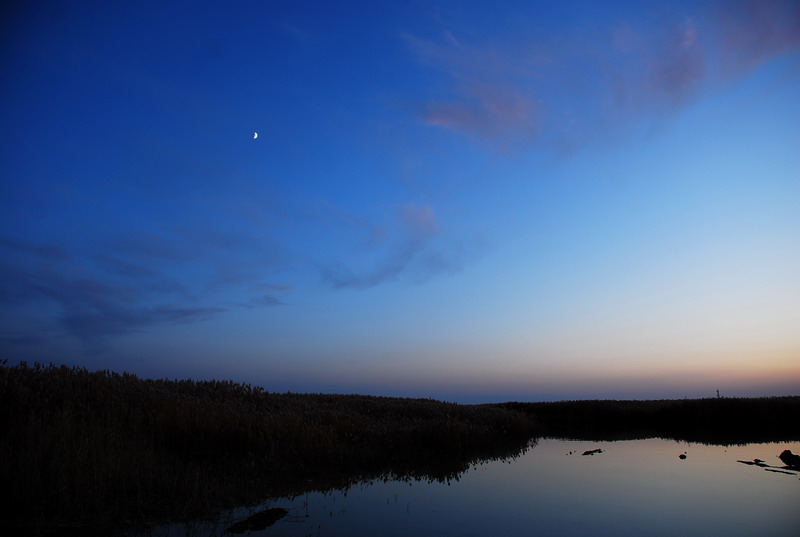 dsc_0012.jpg