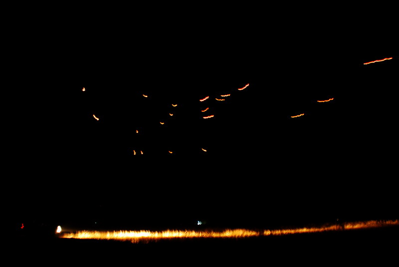 dsc_0013.jpg
