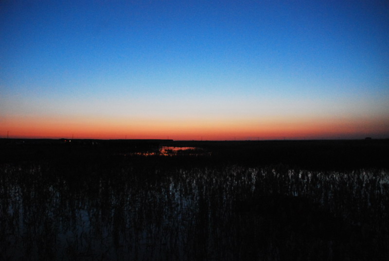 dsc_0020.jpg