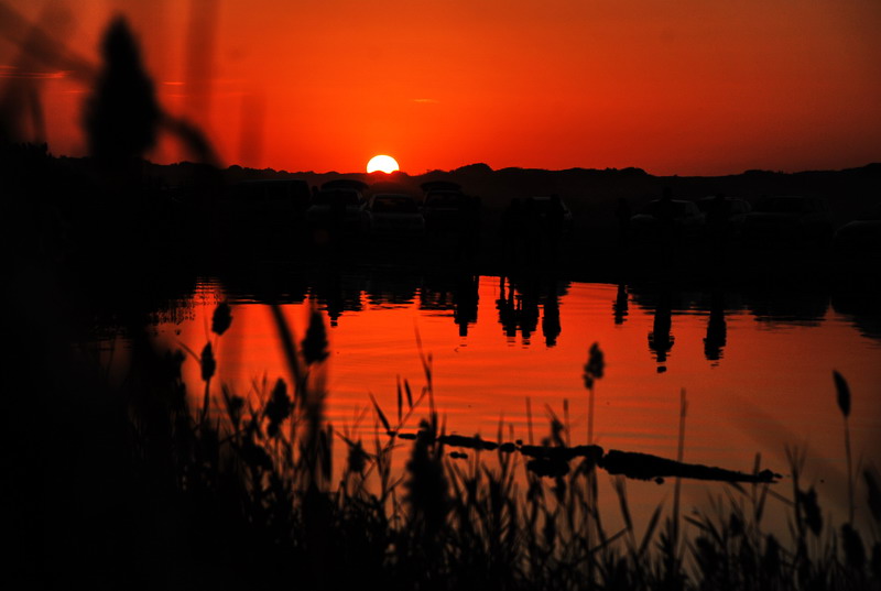 dsc_0984.jpg