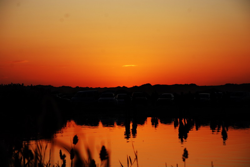 dsc_0995.jpg