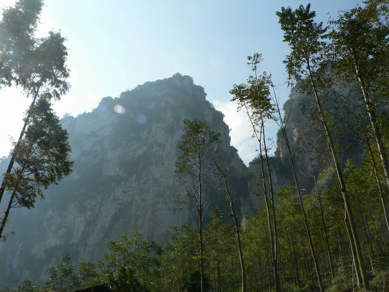 p1060854.jpg