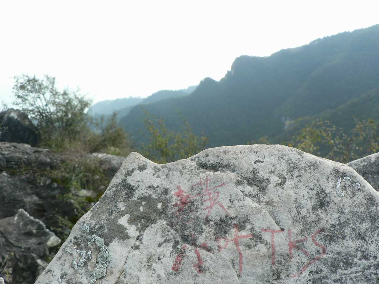 p1060897.jpg