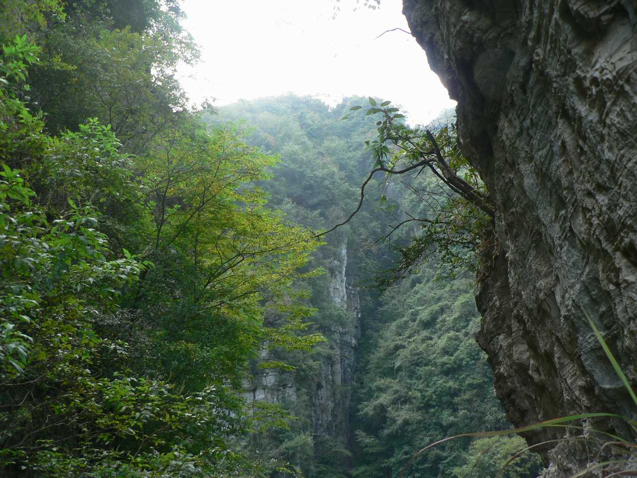 p1060875.jpg