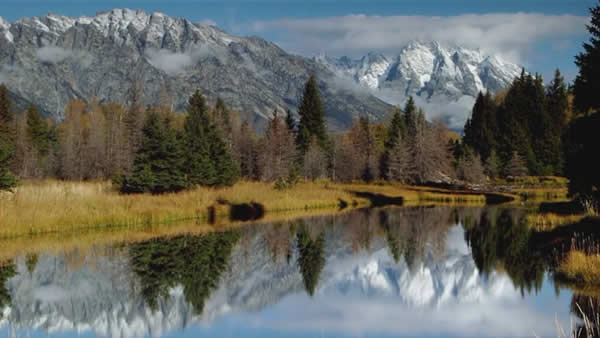 200962021404349833.jpg