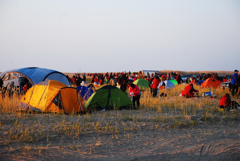 dsc_0155.jpg