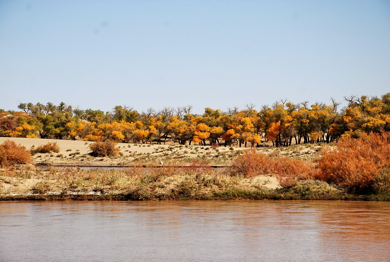 dsc_0246.jpg