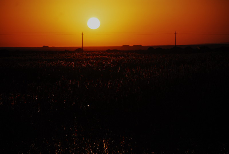 dsc_0092.jpg