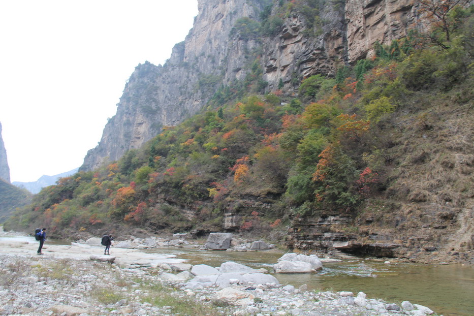 img_2631_СС.jpg