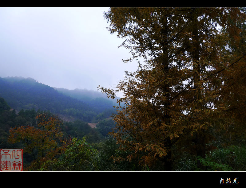 l1250160.jpg