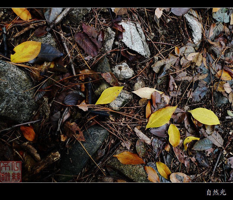 l1250230.jpg