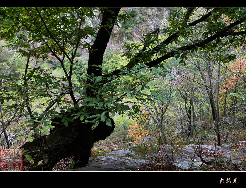 l1250238.jpg
