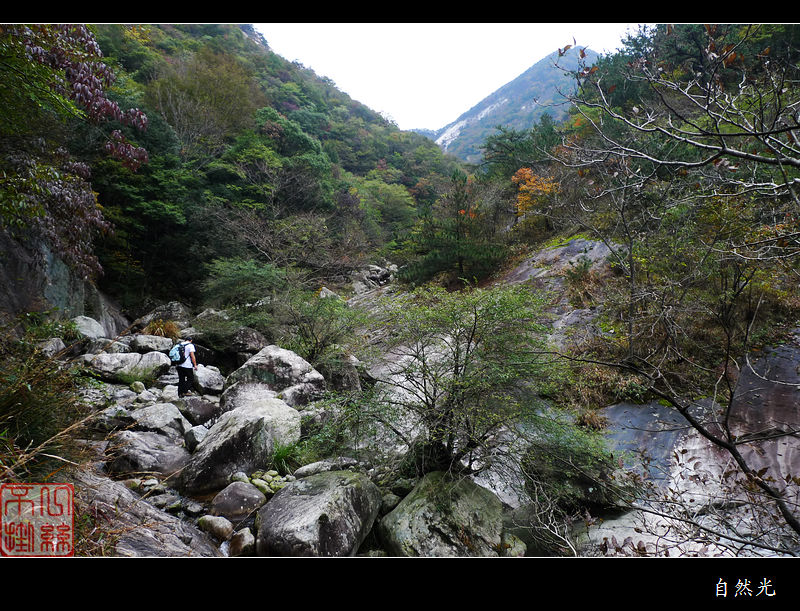 l1250241.jpg