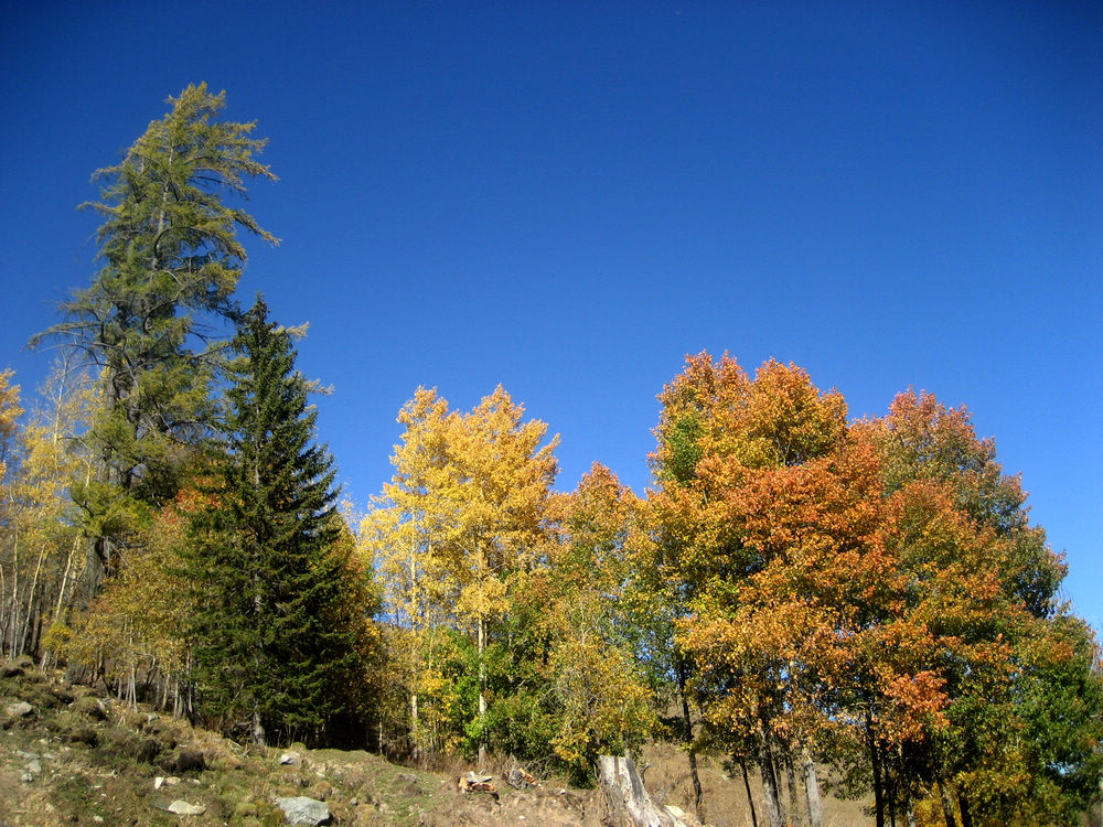img_3208.jpg
