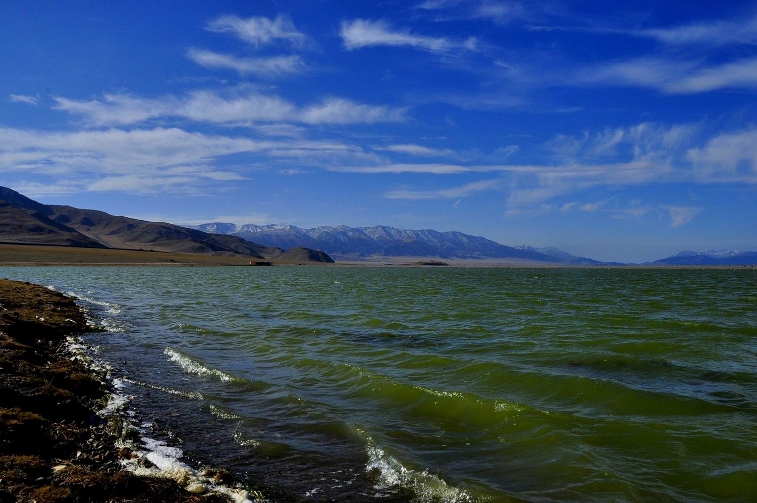 _dsc0356_conew1.jpg