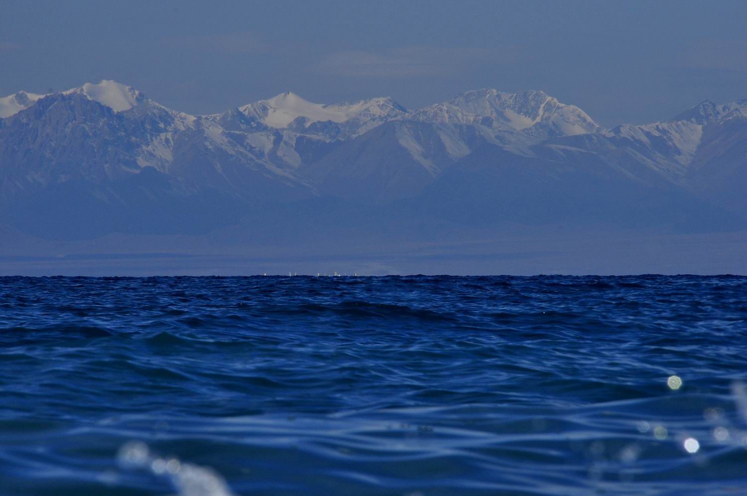 _dsc0380_conew1.jpg