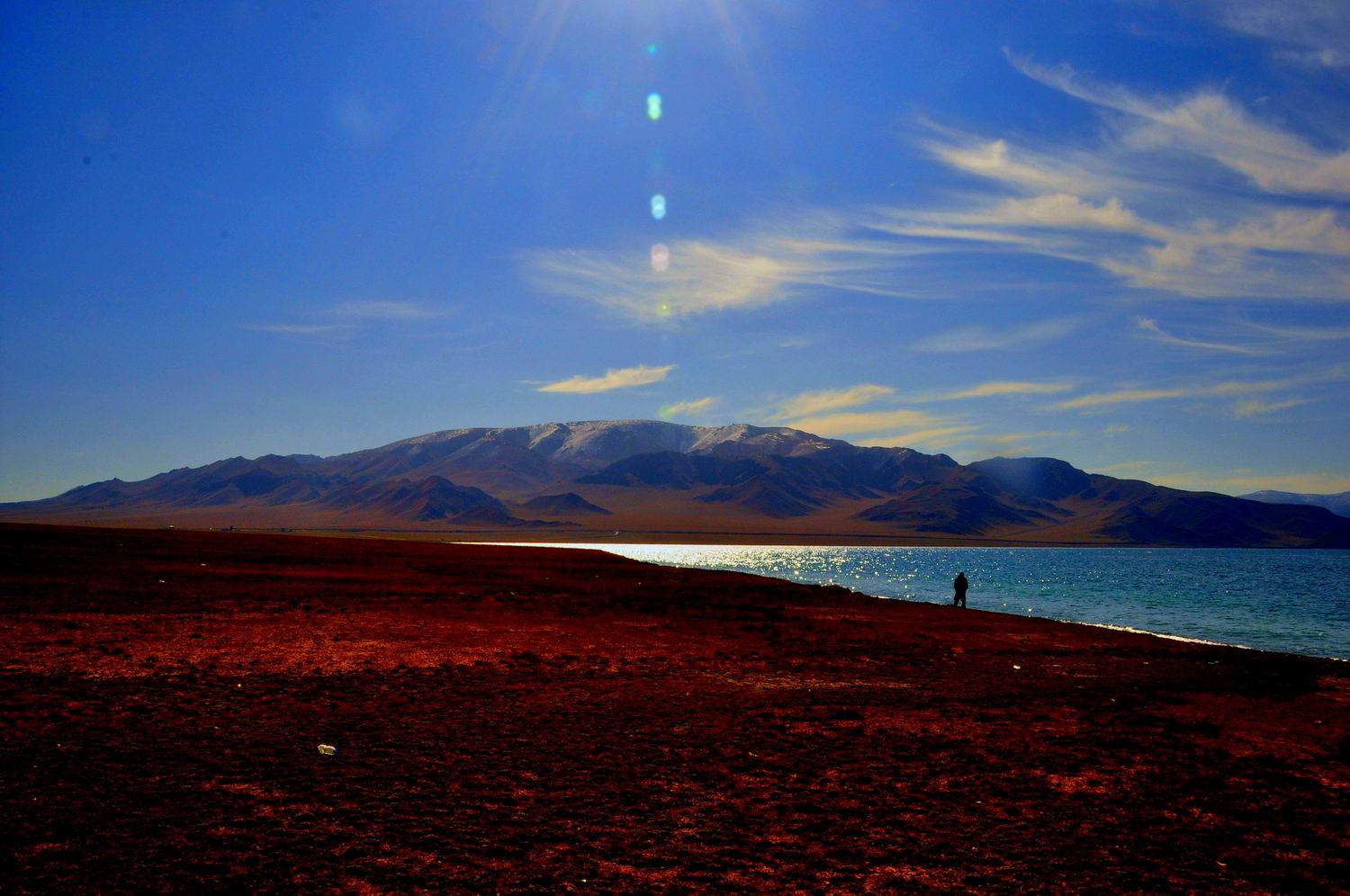 _dsc0389_conew1.jpg