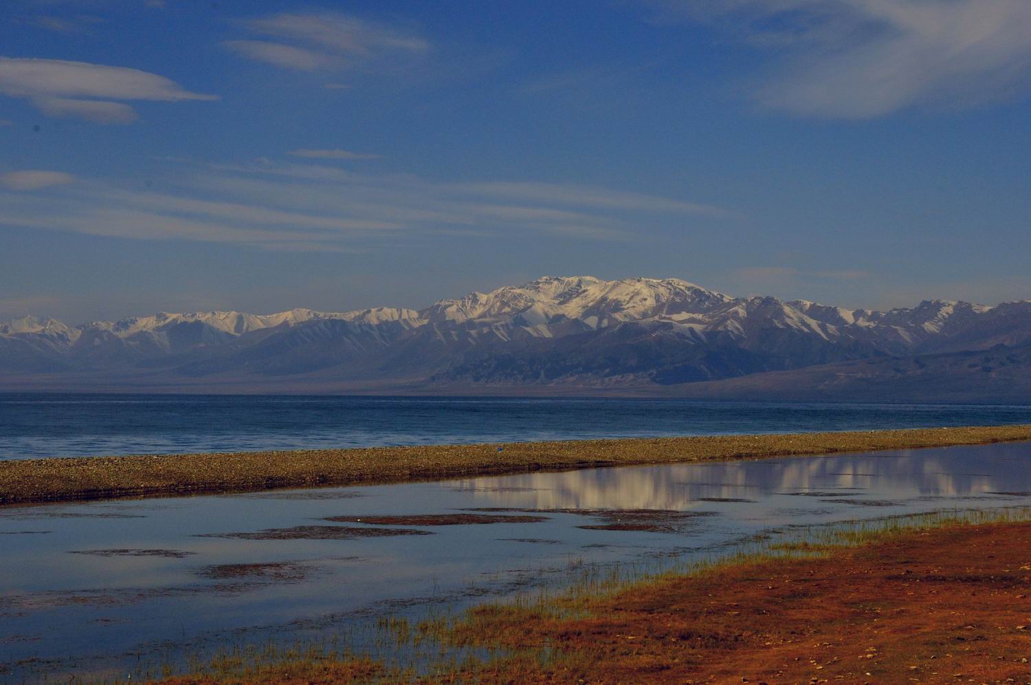 _dsc0391_conew1.jpg