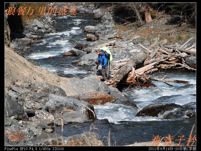 dscf0517.jpg