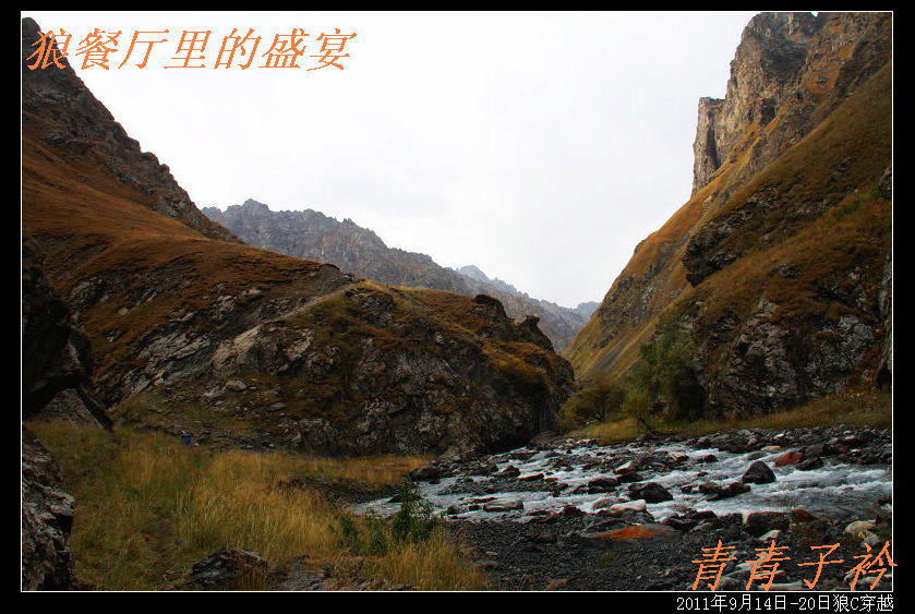img_8773.jpg