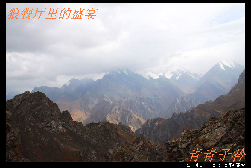 img_8877.jpg