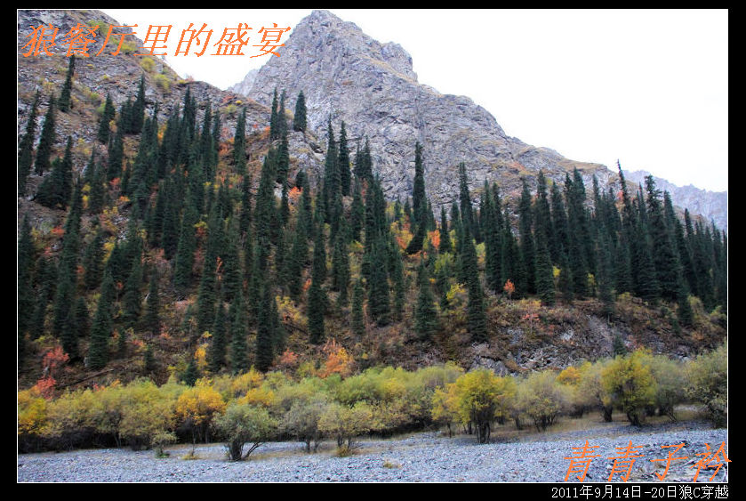 img_8903.jpg
