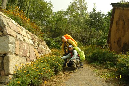 sam_0028_neo_img.jpg