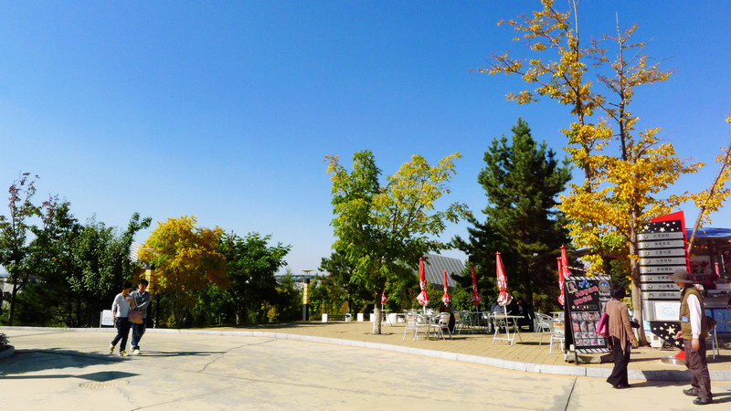 p1050125.jpg