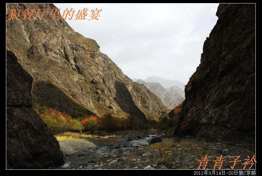 img_8917.jpg
