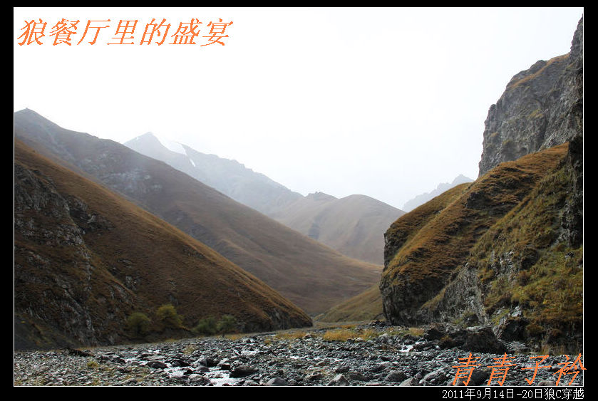 img_8939.jpg