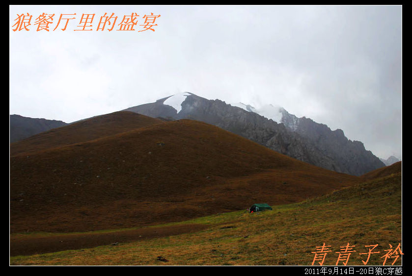 img_8955.jpg