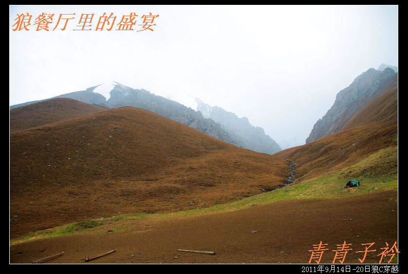 img_8963.jpg
