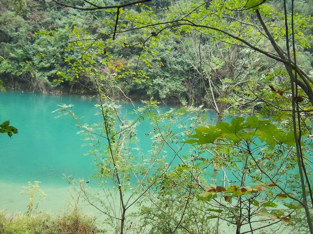 100_8954.jpg