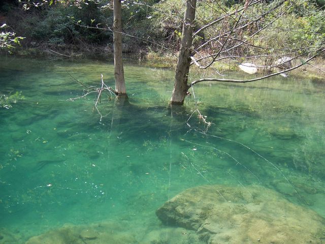 100_9029.jpg