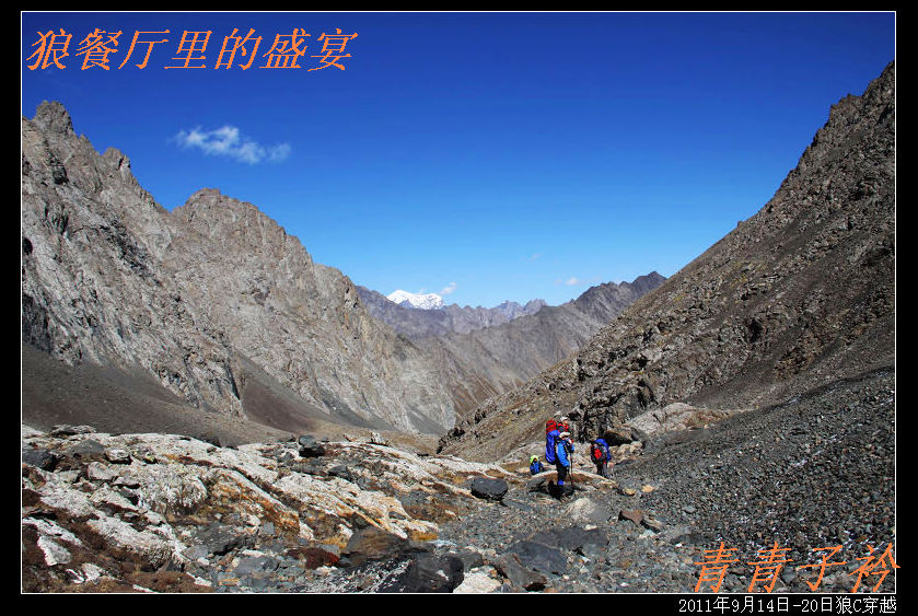 img_9116.jpg