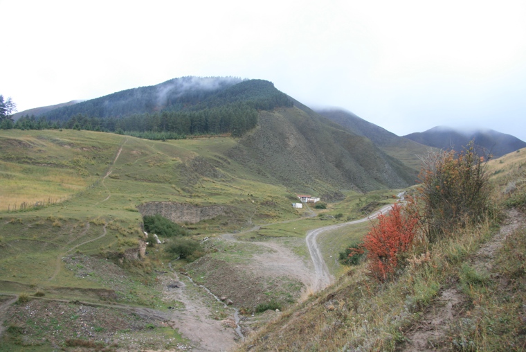 img_4156.jpg