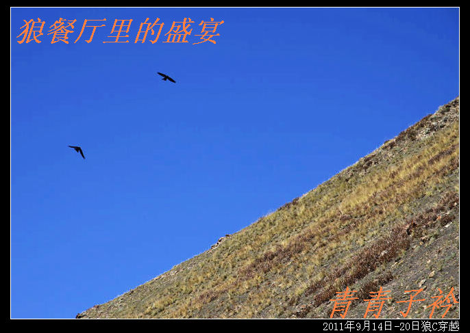 img_9380.jpg