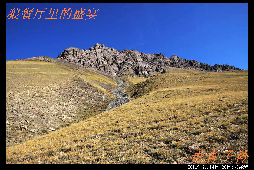 img_9375.jpg