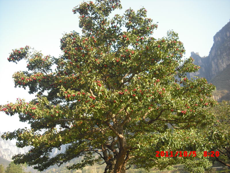 http_imgloadca047xkj.jpg