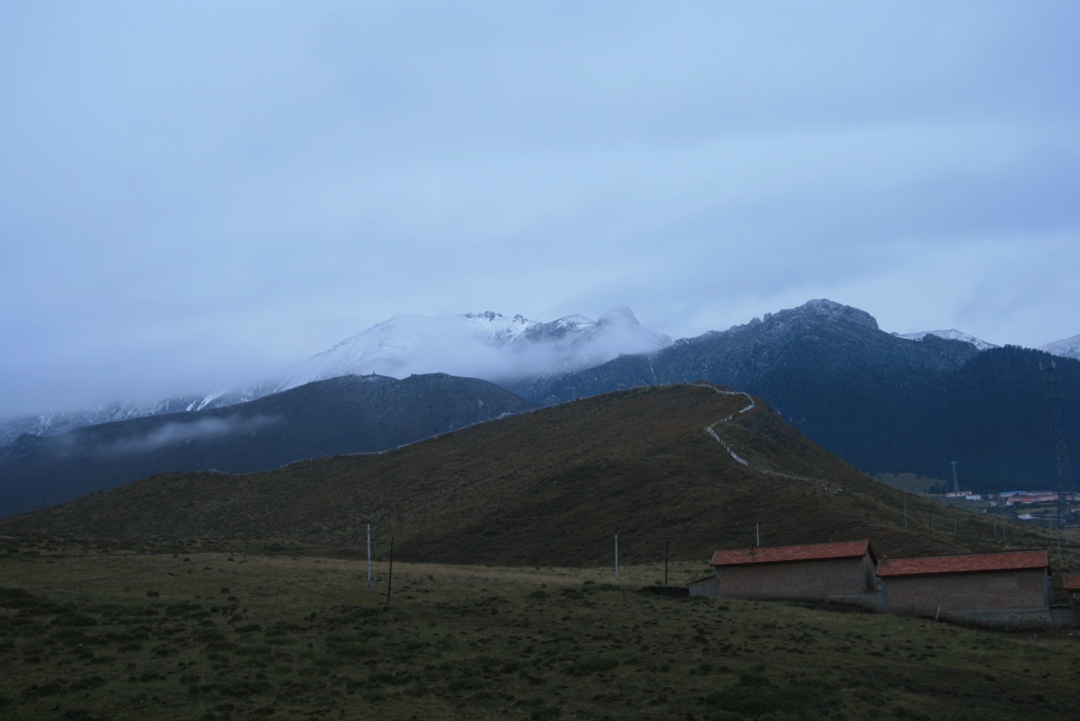 img_4435.jpg