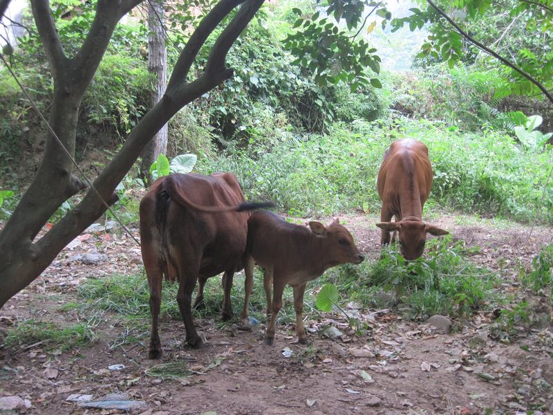 Ƭ 077.jpg