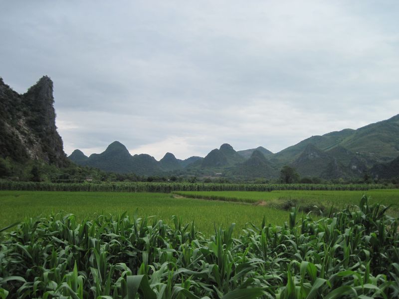 Ƭ 090.jpg