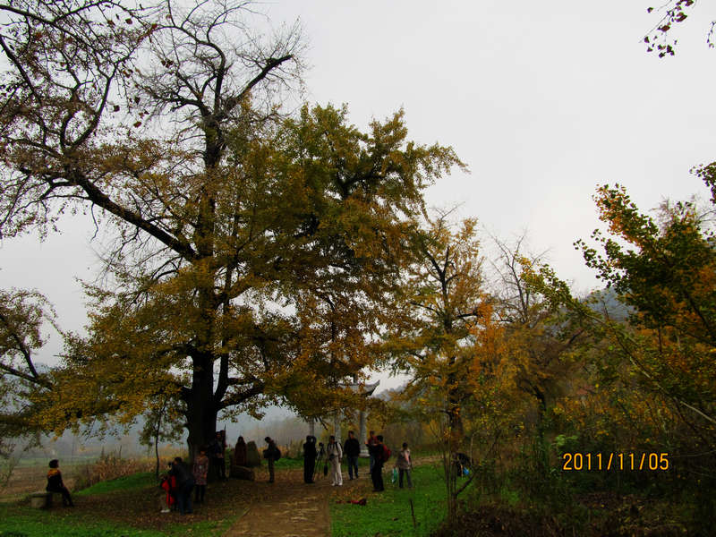 img_4080.jpg