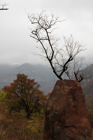 img_3591.jpg