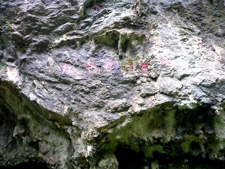 p1090169_.jpg