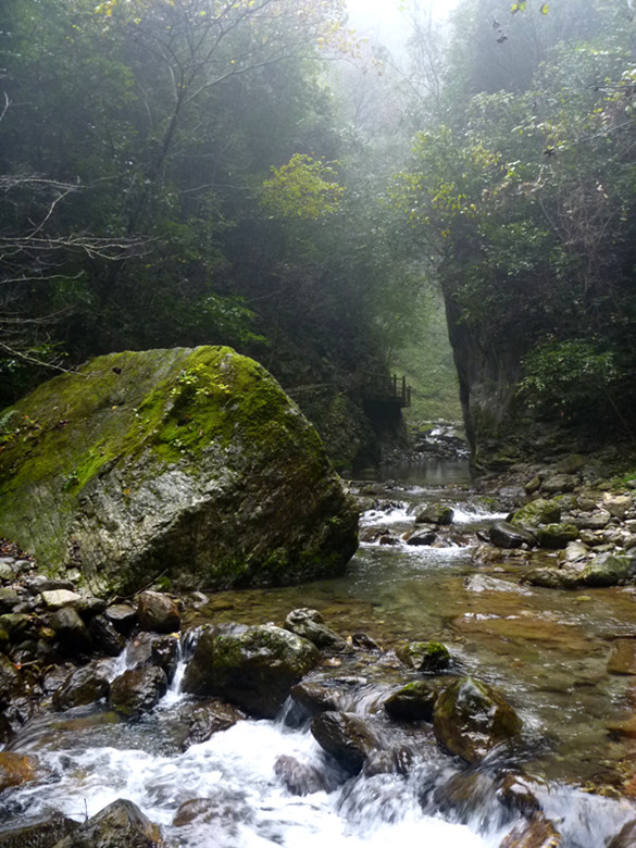 p1090172_.jpg