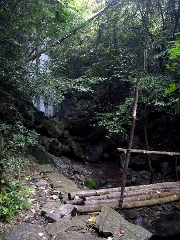 p1090181_.jpg