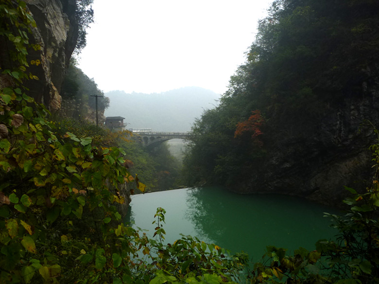 p1090195_.jpg